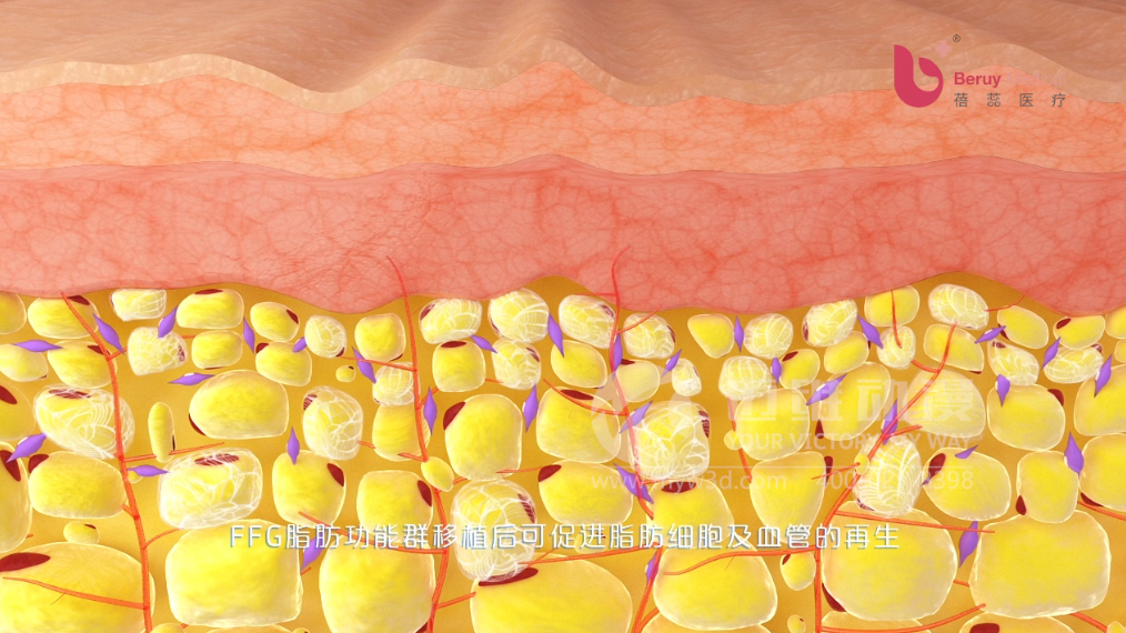 醫(yī)學(xué)醫(yī)療三維動(dòng)畫