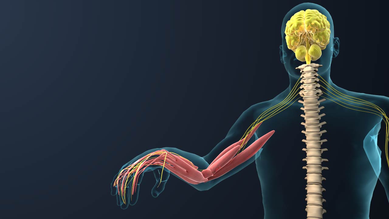 人體手術三維動畫.jpg 人體手術三維動畫.jpg