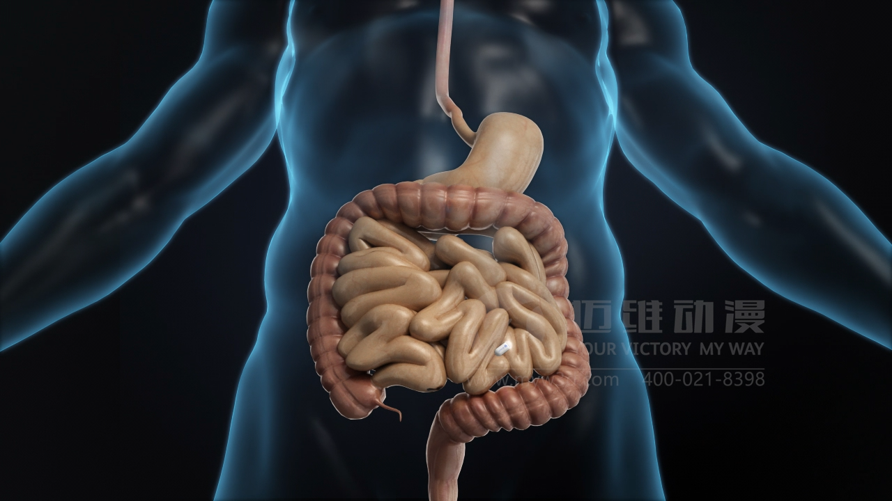 醫(yī)療三維動(dòng)畫(huà).png 醫(yī)療三維動(dòng)畫(huà).png