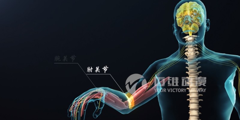 醫(yī)學(xué)三維動(dòng)畫制作效果展示-上海三維動(dòng)畫制作(圖4) 醫(yī)學(xué)三維動(dòng)畫制作效果展示-上海三維動(dòng)畫制作(圖4)