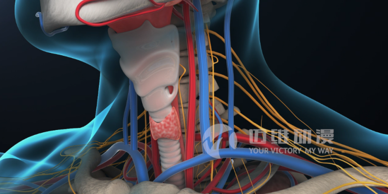 三維動畫給醫(yī)學(xué)領(lǐng)域帶來哪些便利？(圖1)