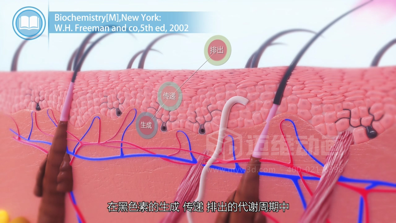 醫(yī)學(xué)科普從來不是 “天書”：三維動(dòng)畫讓復(fù)雜科學(xué)原理輕松 get！(圖4)