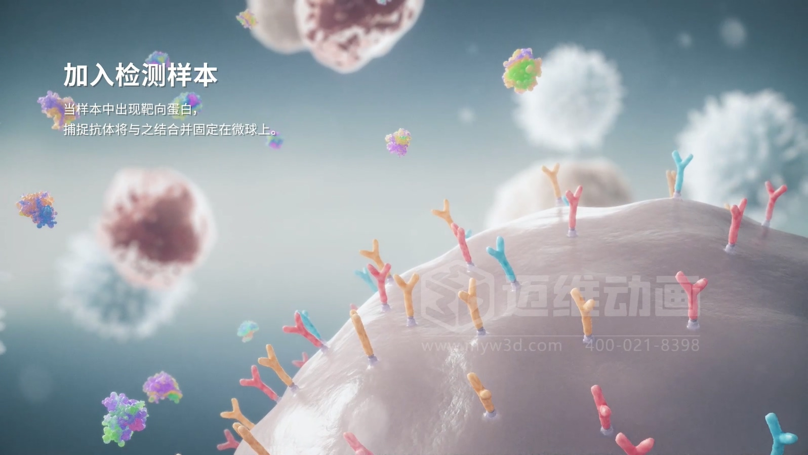 微觀世界竟能“動”起來？生物科技三維動畫帶你沉浸式探索生命奧秘(圖2)